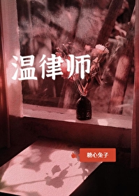 温律师我要对你负责TXT下载