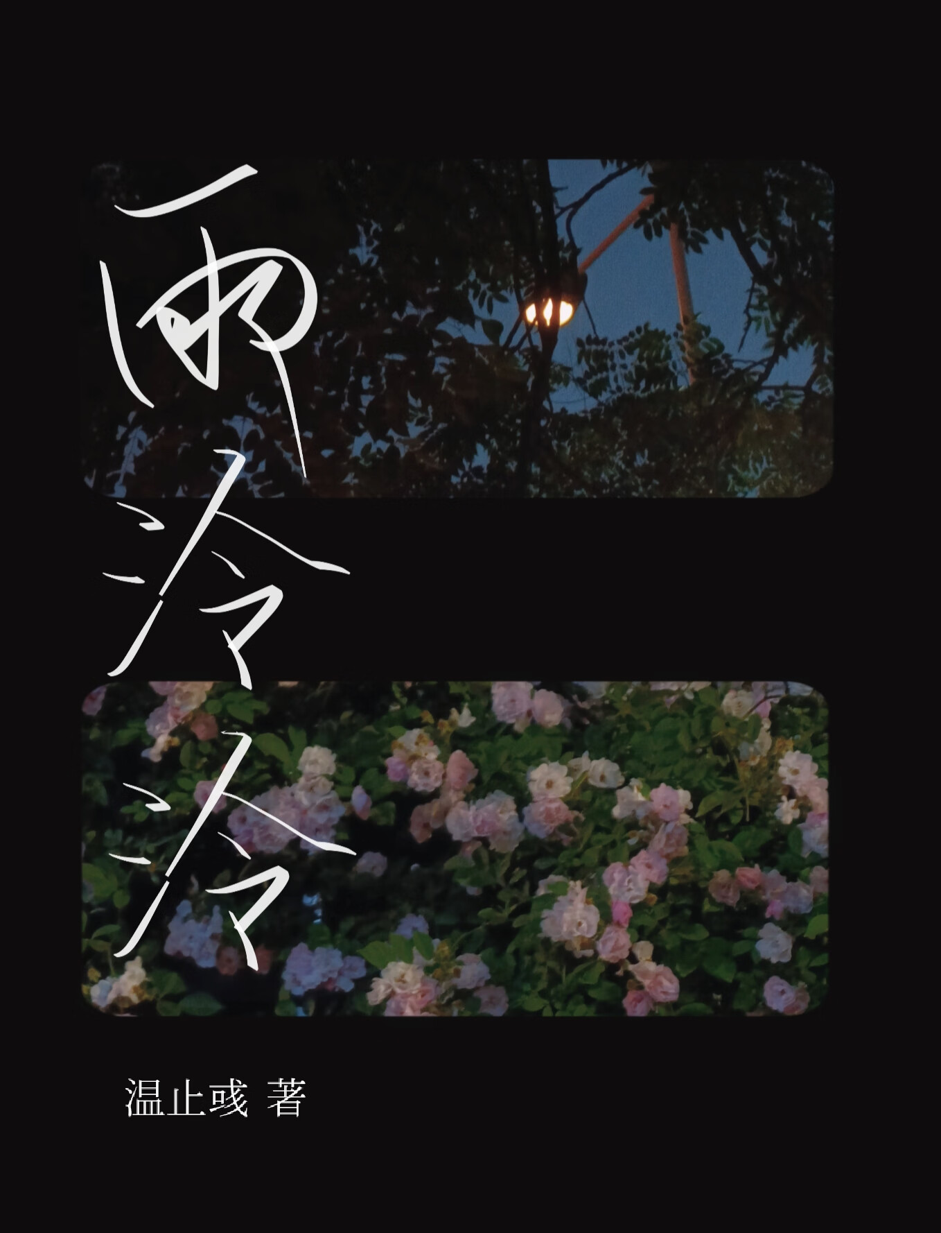 蓄意欺骗小说免费阅读