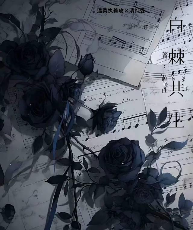 【稻荷崎排球乙】《逆境胁迫