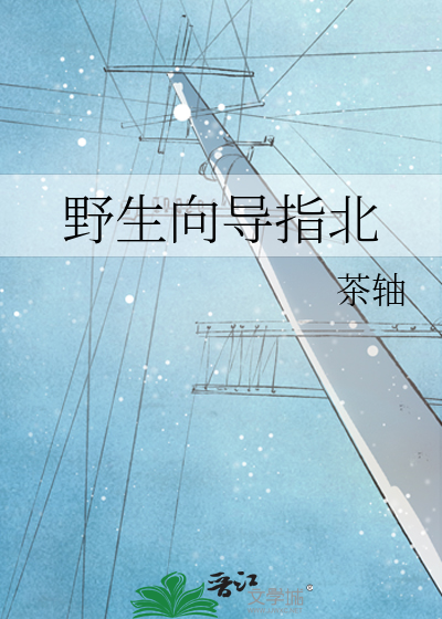 弟弟是反派怎么破